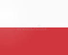 Swiatek Logo