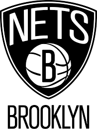 Team N Logo