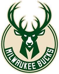 Team S Logo