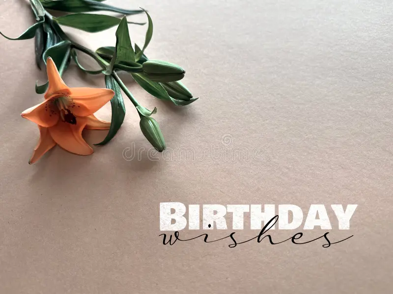 Minimalist Birthday Wish
