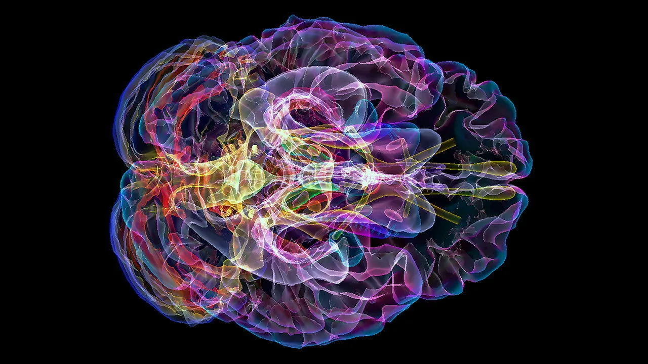 Breakthrough in Alzheimer’s Research Gives New Hope