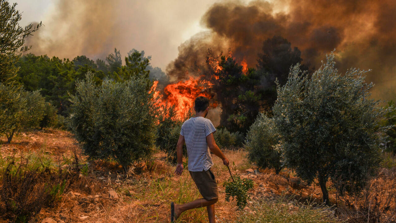 Europe wildfire death toll rises