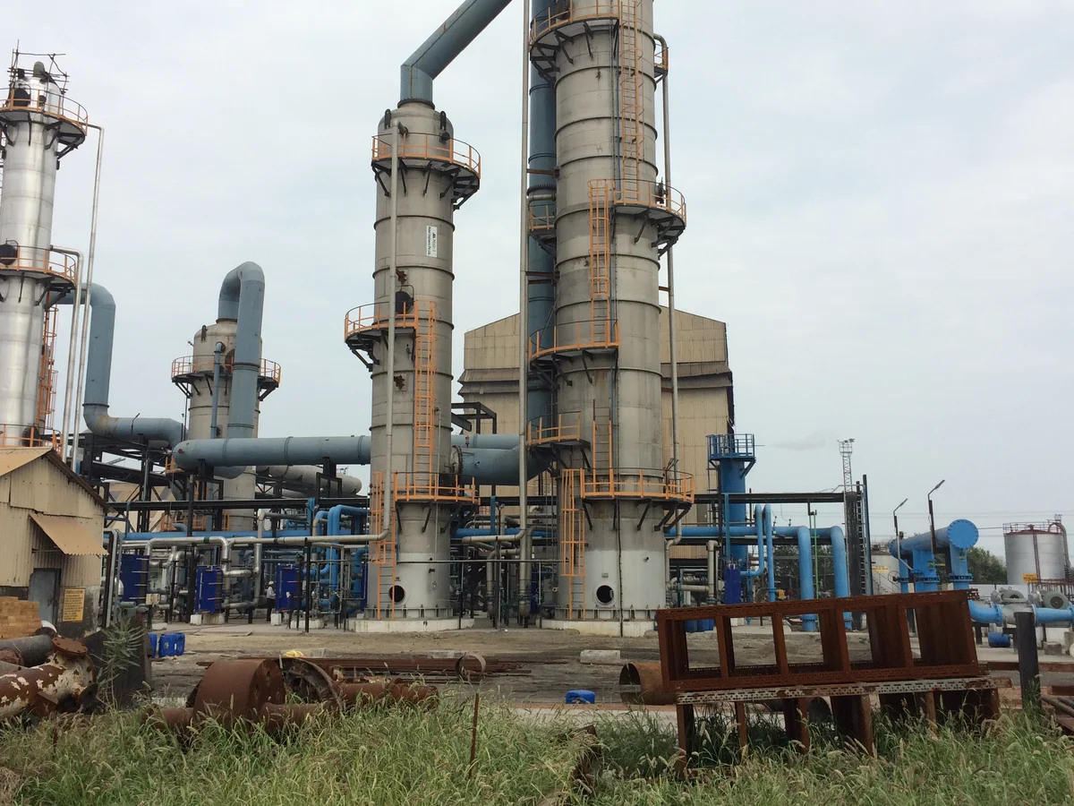 India’s New Carbon Removal Breakthrough Wins Global Recognition