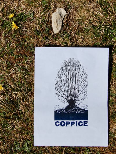 Coppice