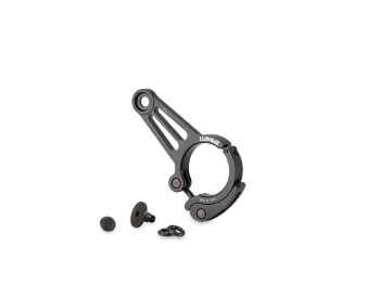 Lupine Betty R Quickrelease