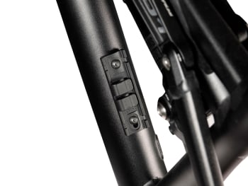 Lupine batterifeste Rolf V1