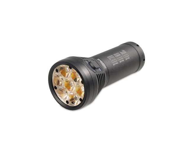 Lupine Betty TL2 S