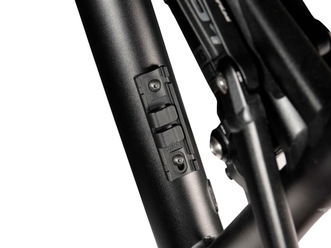 Lupine batterifeste Rolf V1