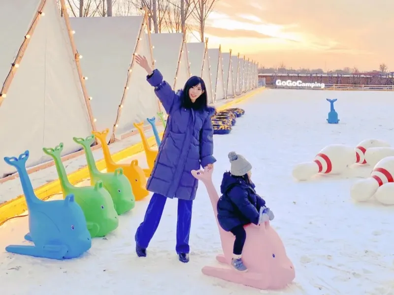 Commercial Ride-on Dolphin Ice Skating Aid