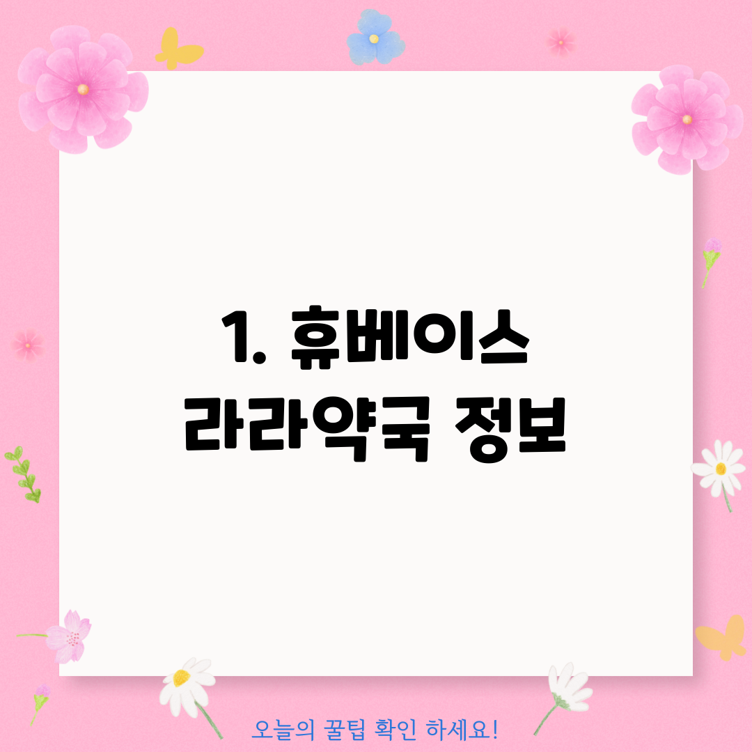 1. 휴베이스 라라약국 정보