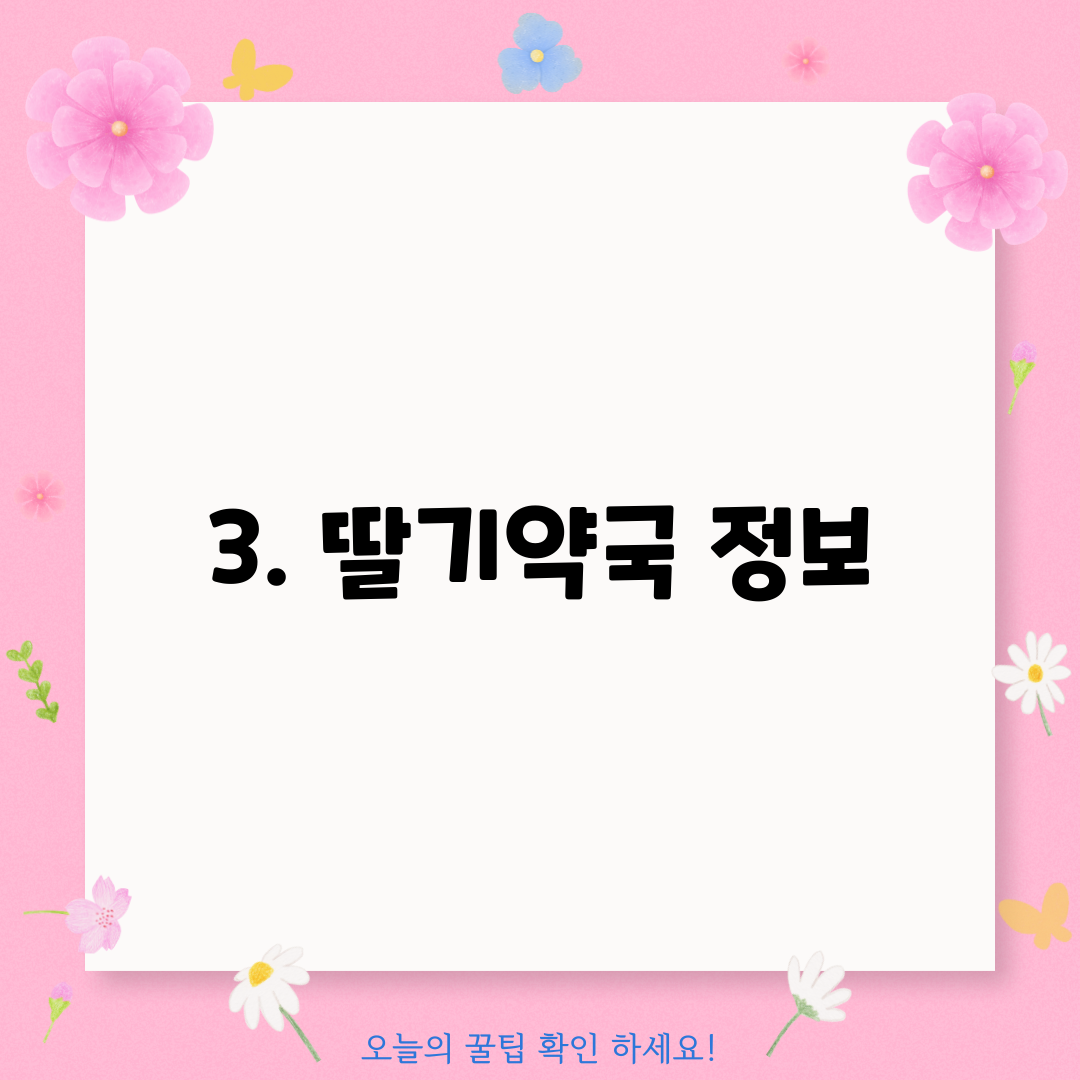 3. 딸기약국 정보