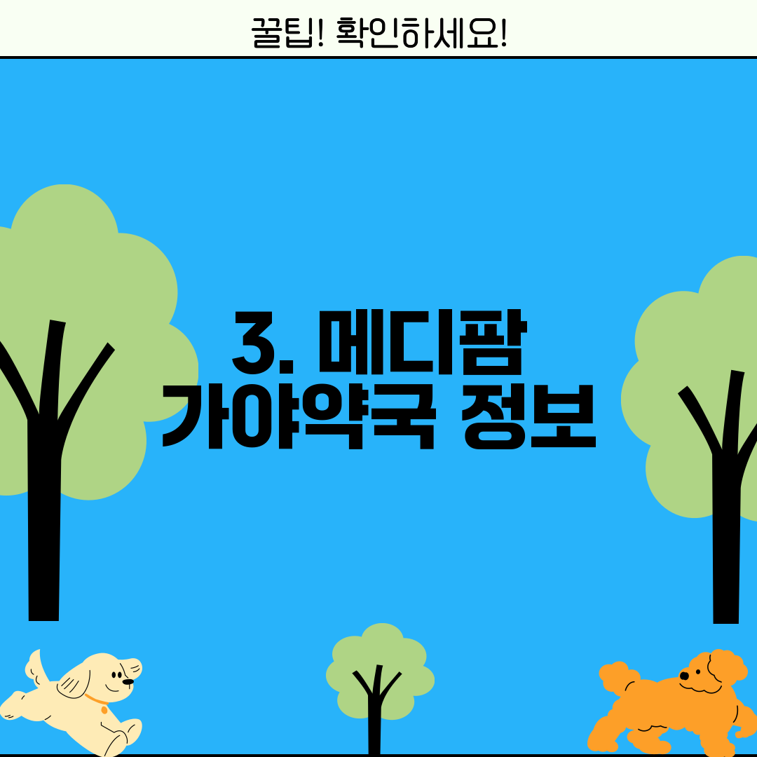 3. 메디팜 가야약국 정보