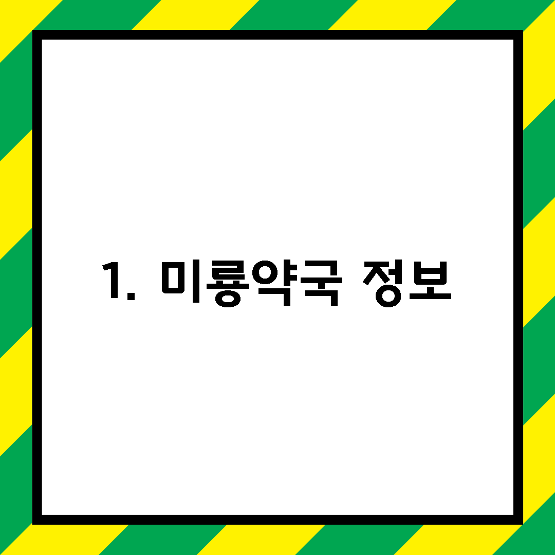 1. 미룡약국 정보