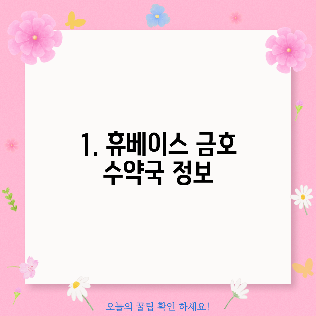 1. 휴베이스 금호 수약국 정보