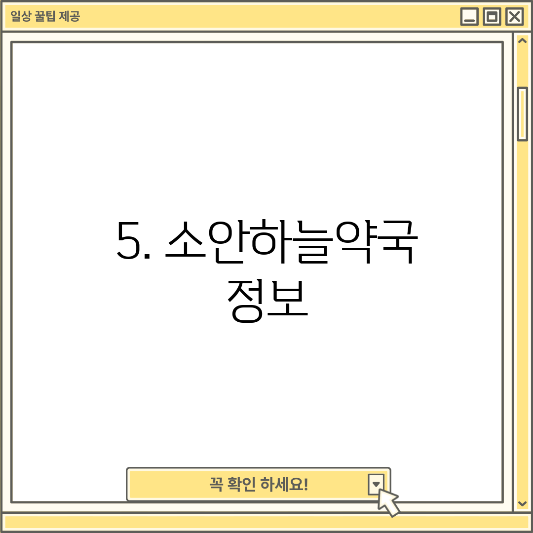 5. 소안하늘약국 정보
