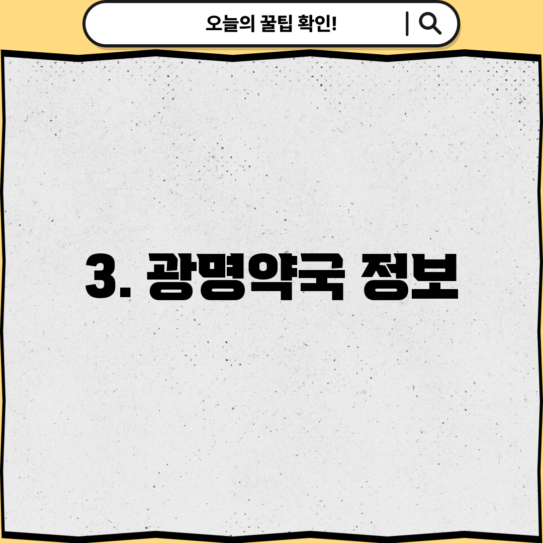3. 광명약국 정보