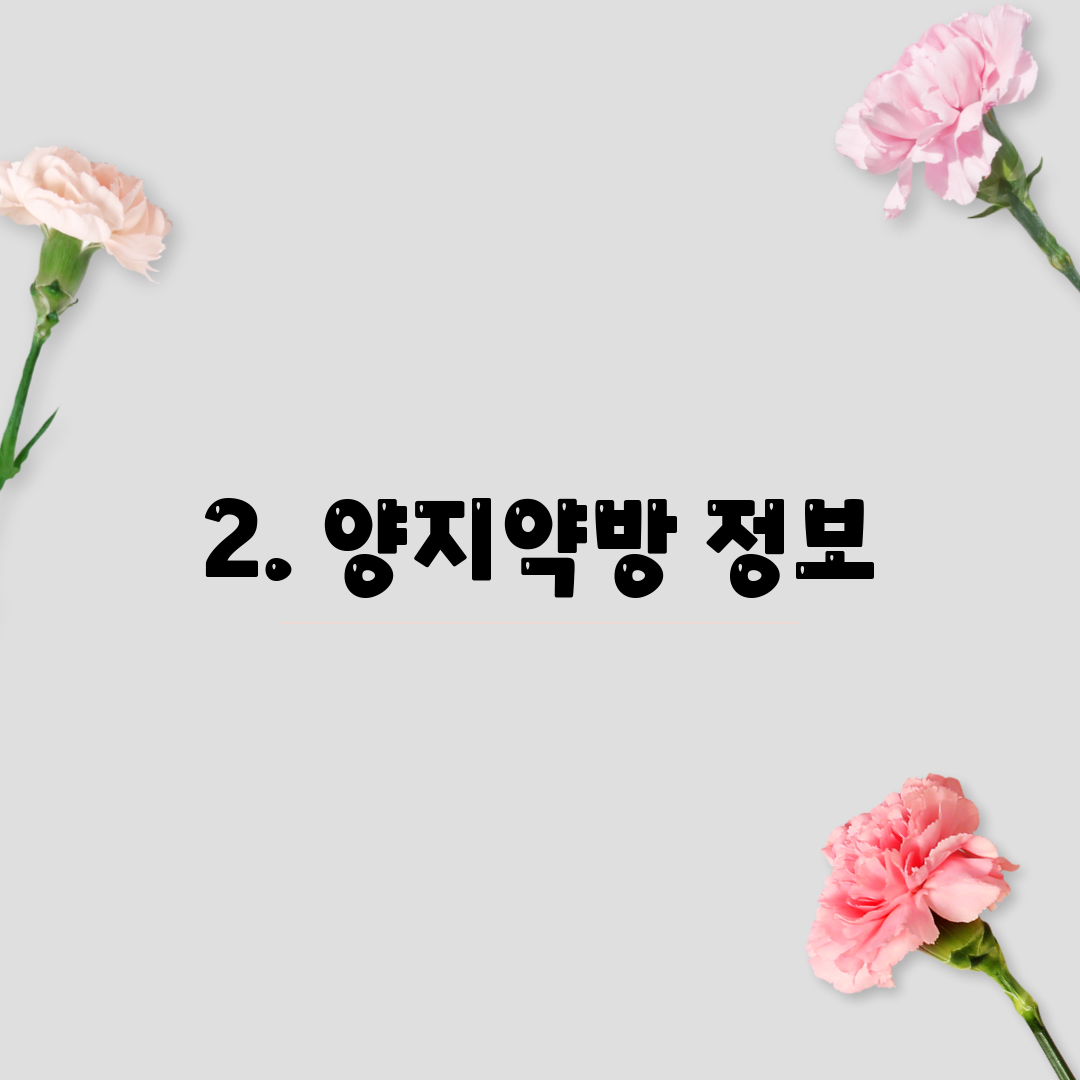 2. 양지약방 정보