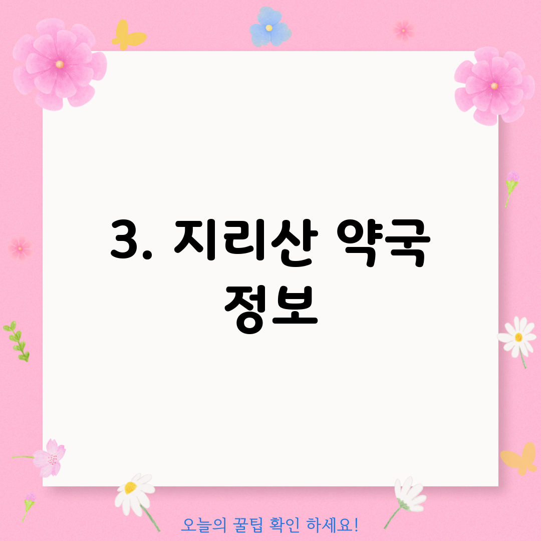 3. 지리산 약국 정보