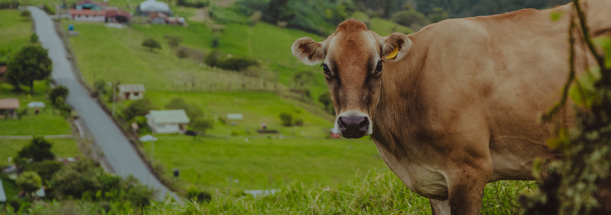 Turismo rural y rural comunitario