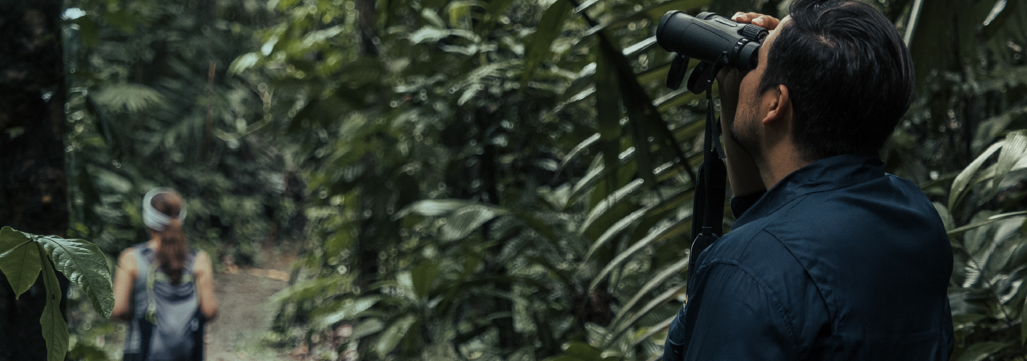 Observación de aves