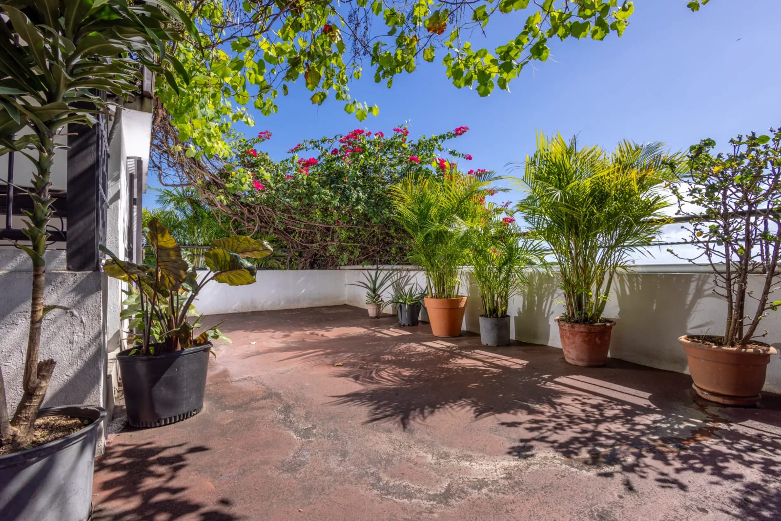 Terraza lounge