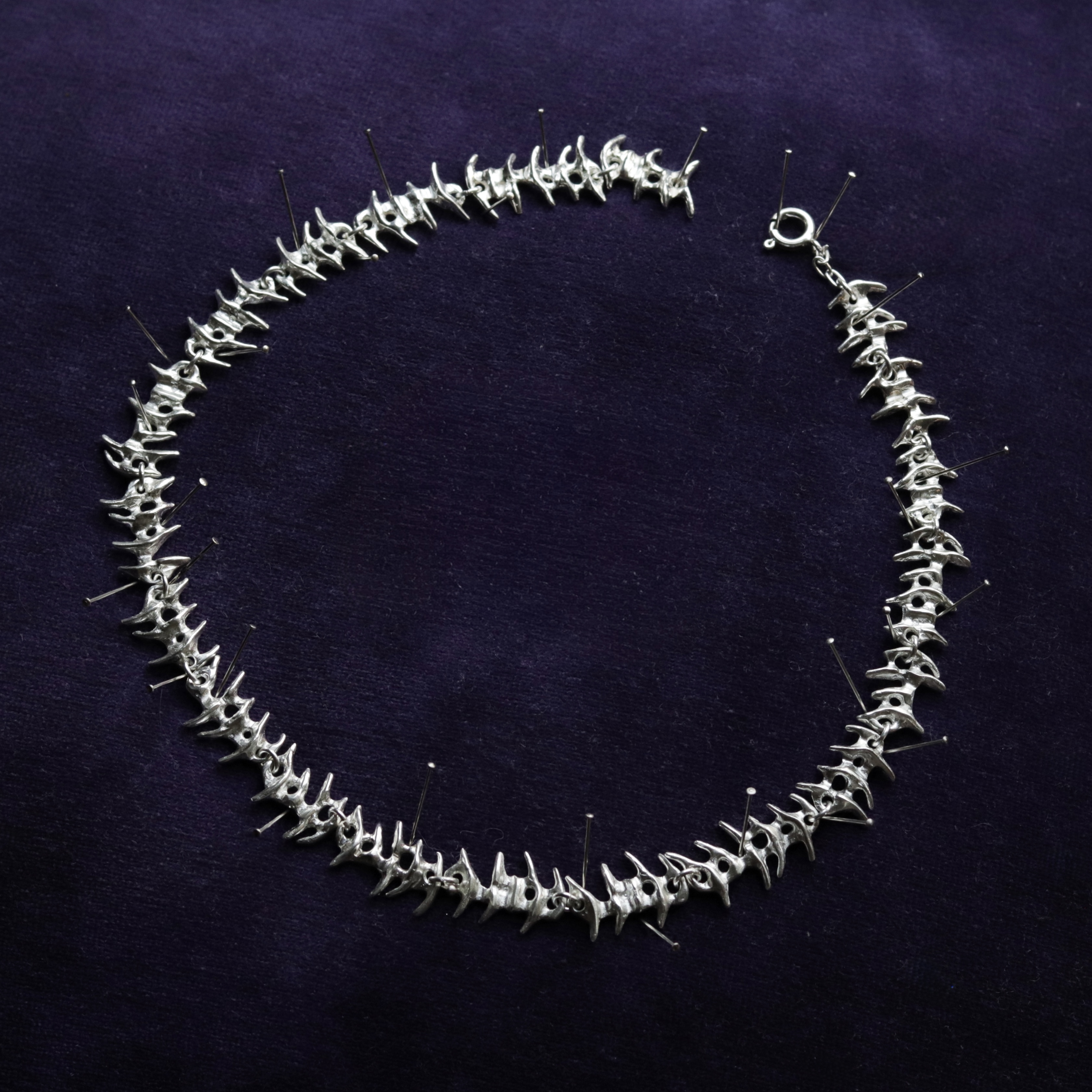 Collar Vertebrado