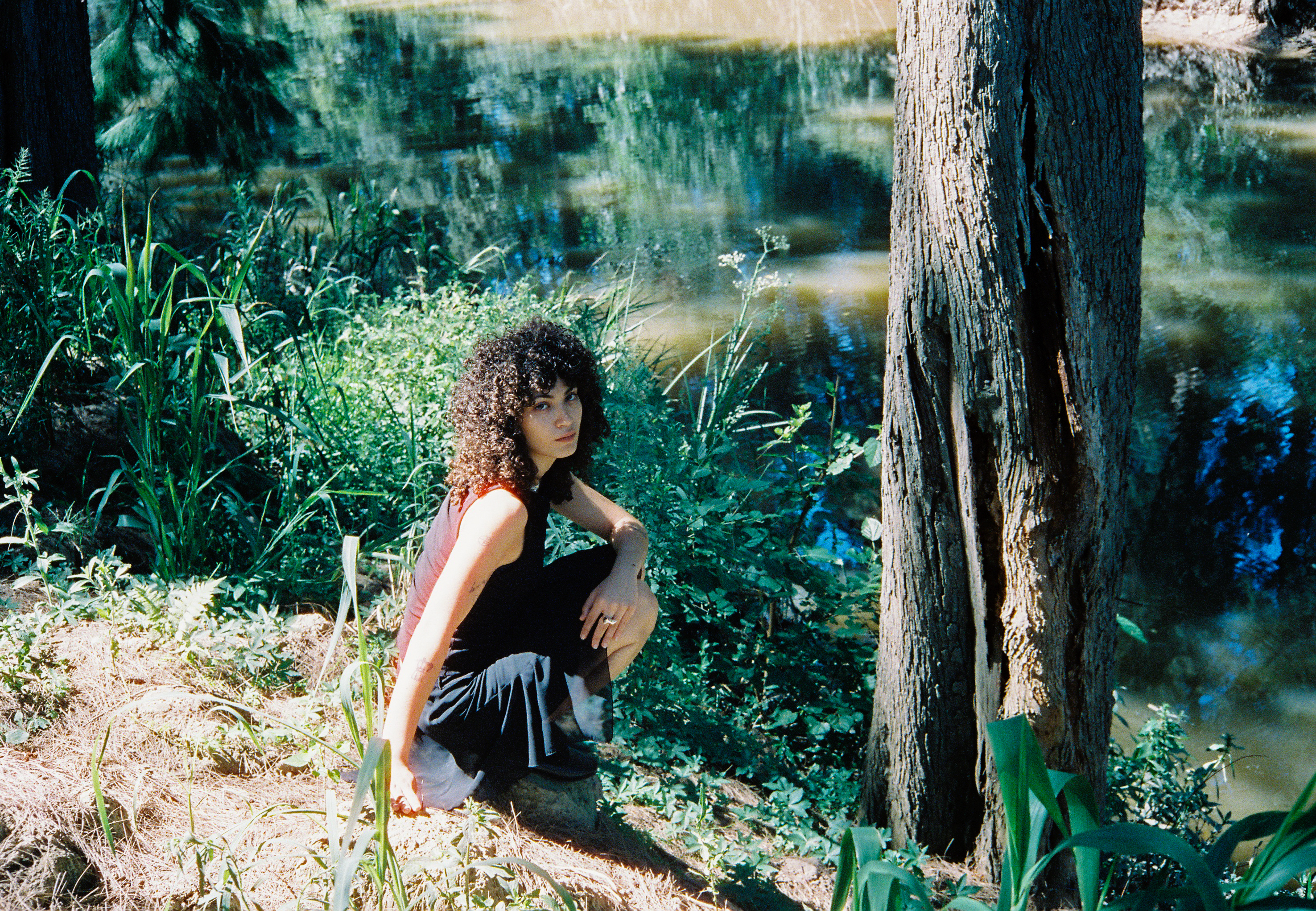 Bosques 2