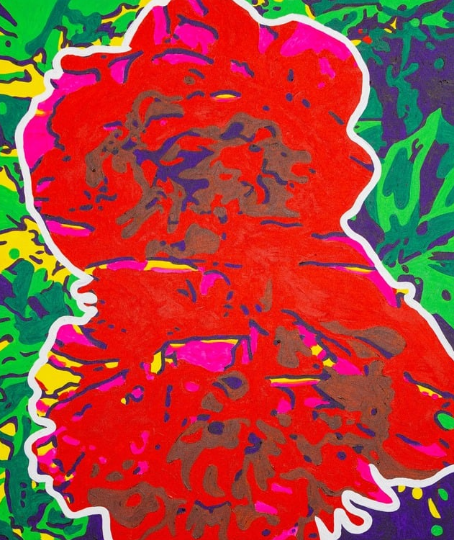 Two abstract red flowers with white outlines on a vibrant multicolored background.