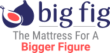 Big Fig Big Fig