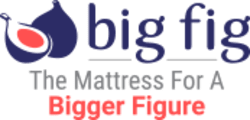 Big Fig Mattress Big Fig Mattress