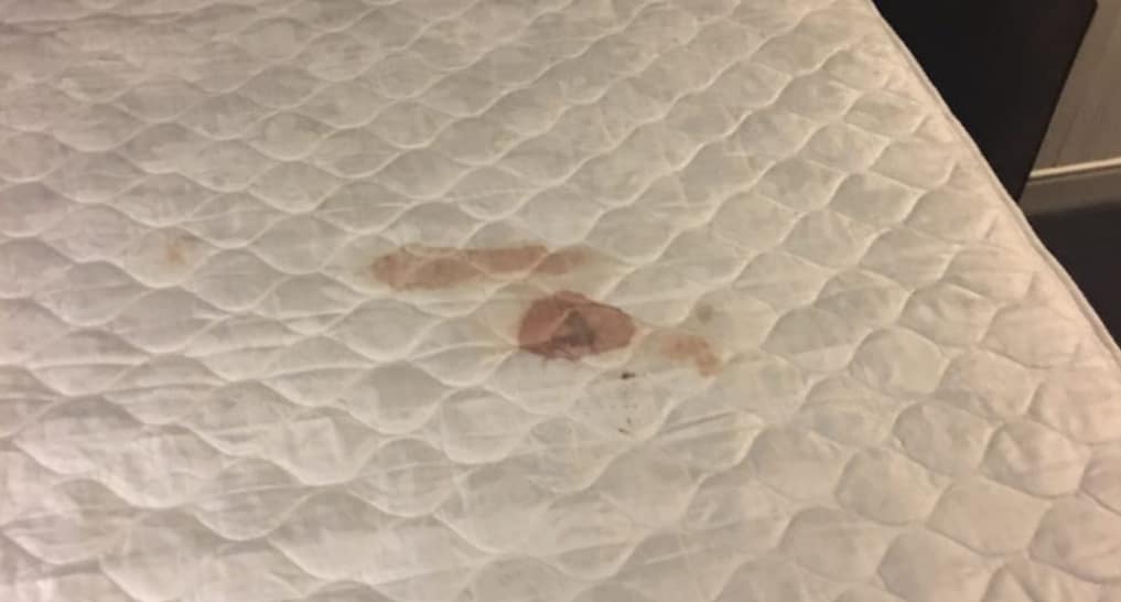 SleePare Guide: How to Clean Your Mattress | SleePare