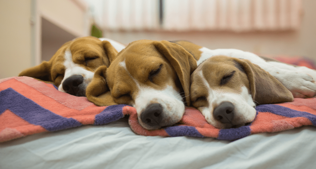 Comfy mattress promotes proper sleep cycle