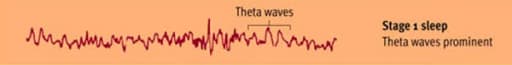 Stage 1 Brain Waves