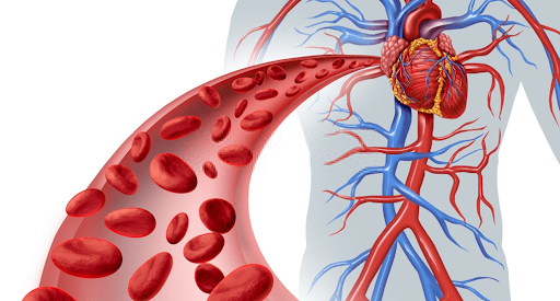 A graphical image of blood circulation