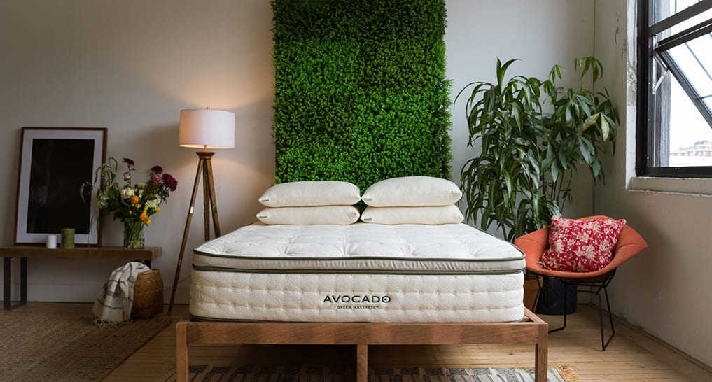 Avocado Green Mattress Eco-friendly Avocado Green Mattress in a well- furnished room