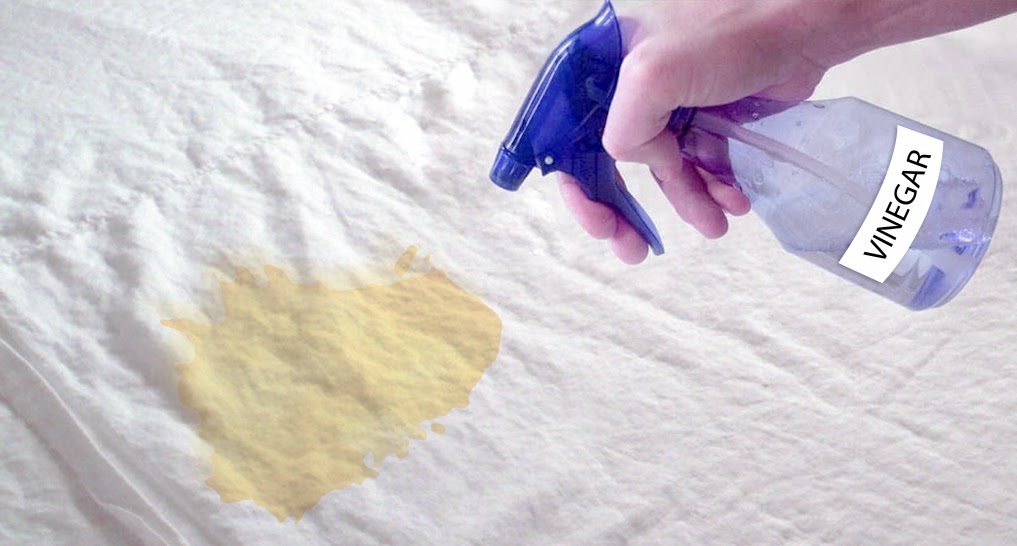 How To Clean Urine From A Mattress Everything You Need To Know Sleepare