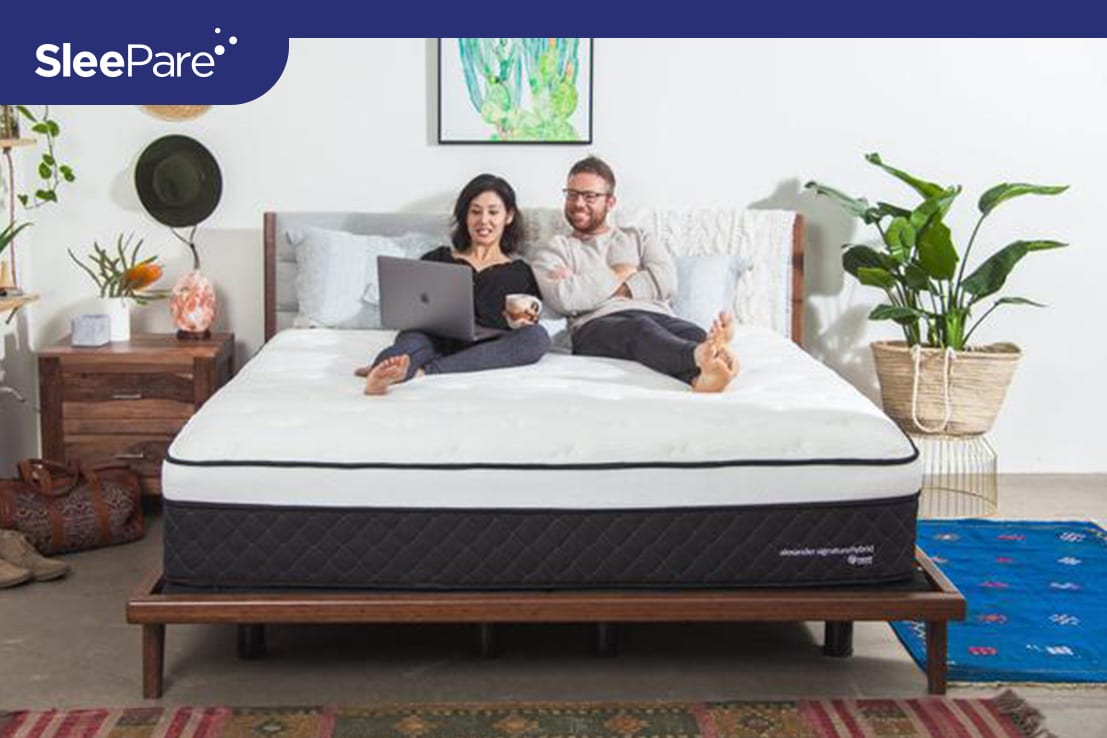 The Good The Bad About Nest Bedding Alexander Hybrid Sleepare