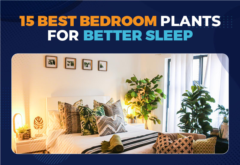 15 Bedroom Plants to Sleep Better in 2024 [Complete Guide]