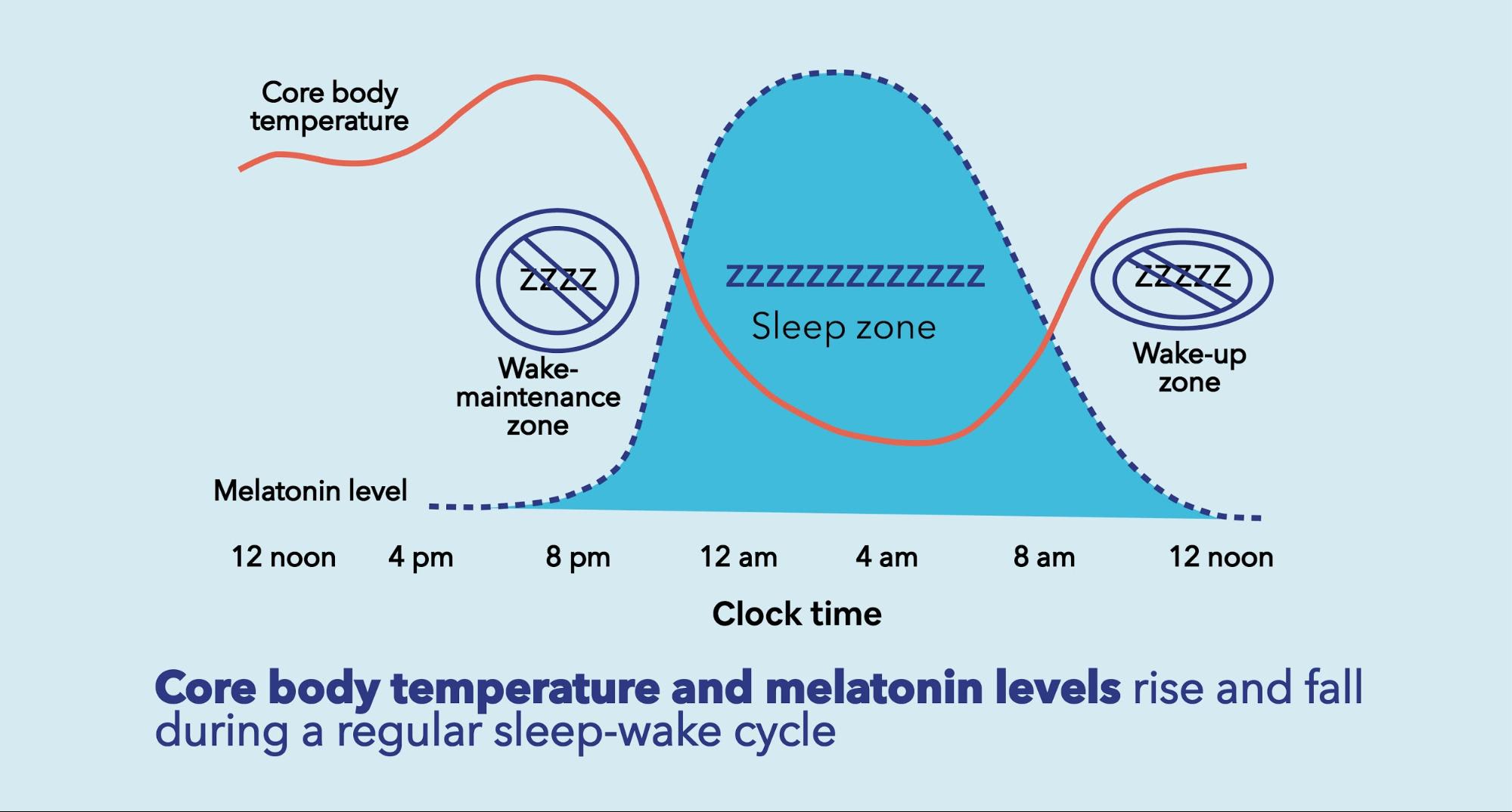 Core body temperature and melatonin levels rise and fall during a regular sleep-wake cycle.
