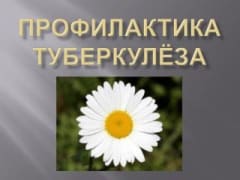 Как проводится профилактика туберкулеза в детских организованных коллективах