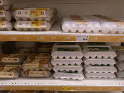 Рост цен на яйца в России: ожидания и реальность