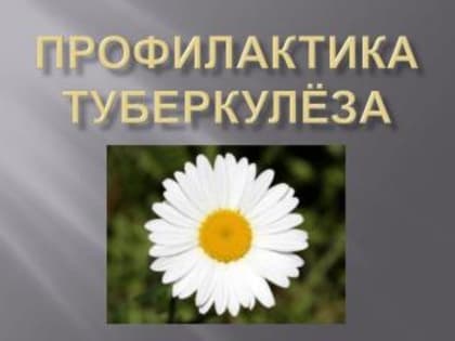Как проводится профилактика туберкулеза в детских организованных коллективах