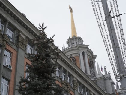 Вице-мэром по социальной политике в Екатеринбурге стал Константин Шевченко