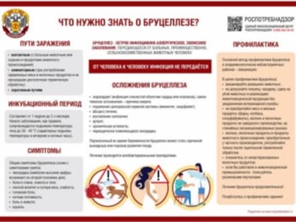 Рекомендации гражданам: профилактика бруцеллеза