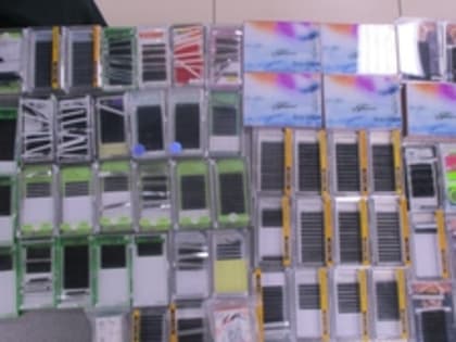 Кольцовские таможенники не дали нелегально ввезти 4 килограмма ресниц для наращивания