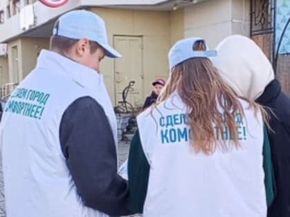 Волонтёры помогают горожанам проголосовать за объекты благоустройства через специальное приложение