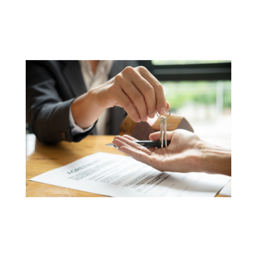 General property maintenance services
