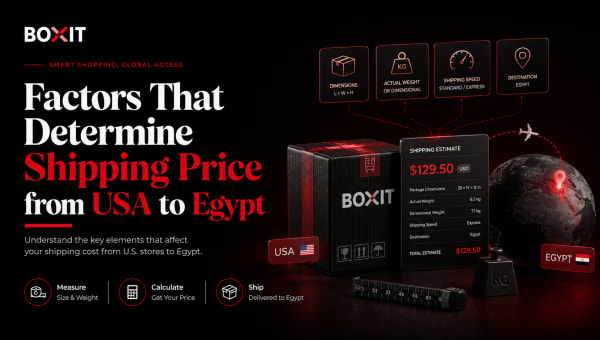 Factors That Determine Shipping Price from USA to Egypt