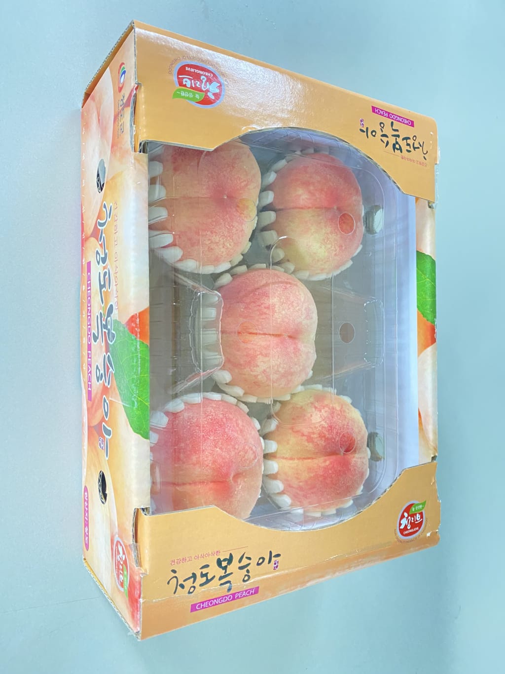 말랑이 복숭아 4