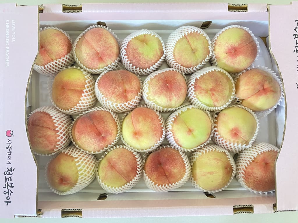 말랑이 복숭아 10